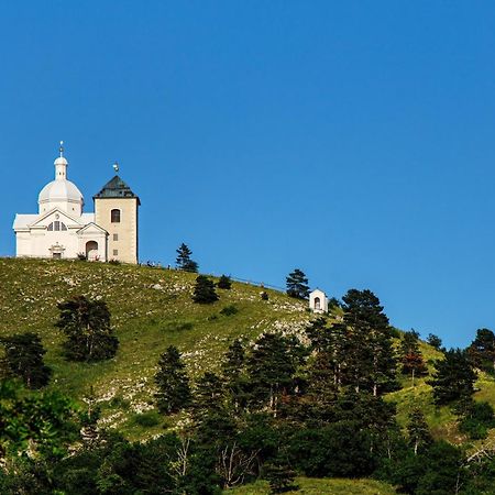 Penzion Terasa Cibulka Мікулов Екстер'єр фото